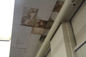Tiles on the ceiling of the school have long decayed through leaks and create an overhead danger to students and staff alike walking unsuspectingly underneath. 